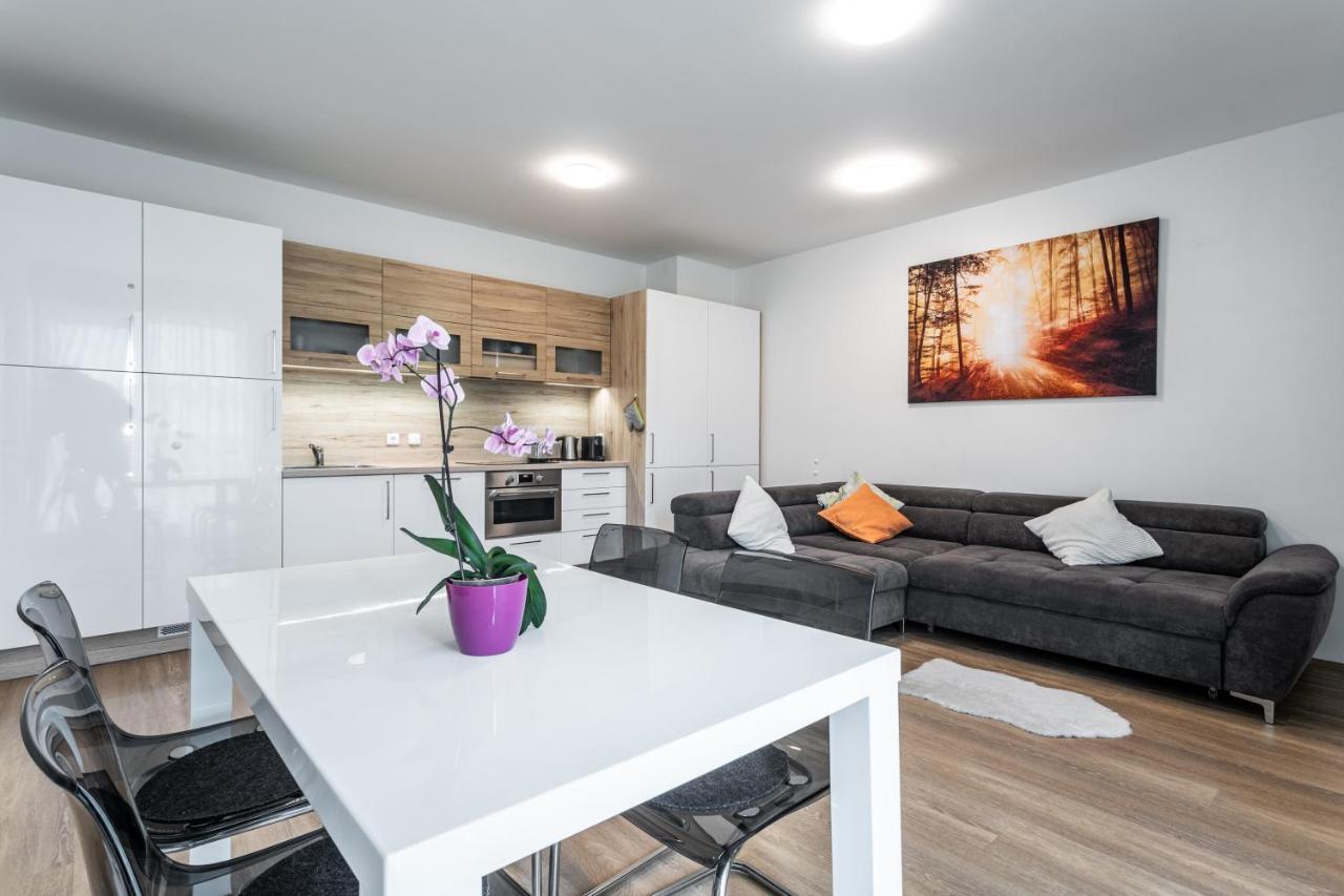 Mountain Apartments Klinovec Hexagon Лоучна-под-Кліновцем Екстер'єр фото